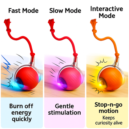 Barksy™ The Interactive Ball