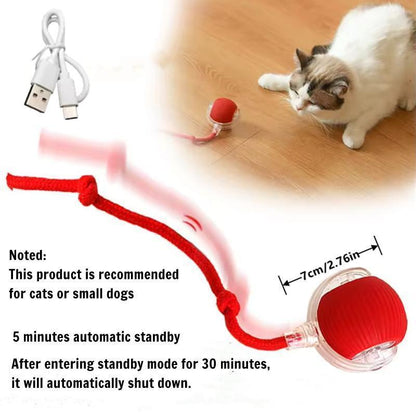 Smart Rolling Pet Ball — Auto Obstacle Avoidance for Cats & Dogs