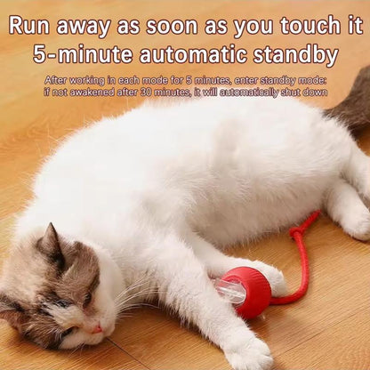 Smart Rolling Pet Ball — Auto Obstacle Avoidance for Cats & Dogs