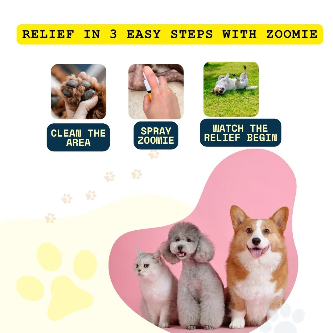 Barksy™ Vet-backed skin relief spray